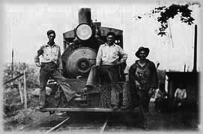 Waialua plantation locomotive crew, ca. 1930s. Sugar cane was loaded in railroad cars and hauled to the mill. (Photo courtesy of Adam Holmberg.)